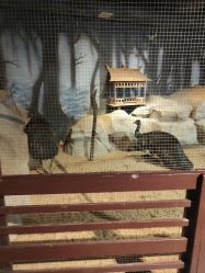 -酷嗒动物文化乐园(cutezoo西溪乐天城店)