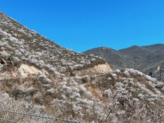 -妙峰山风景名胜区