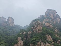 -大岭沟猕猴桃谷风景区
