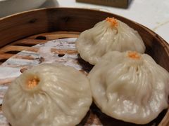 -点都德·毕德寮