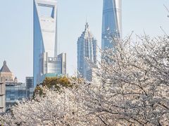 -北外滩滨江绿地