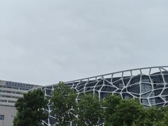 -首都医科大学附属北京天坛医院