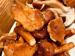 -菌海森林·非遗野生菌火锅(西山区滇池路摩根道店)