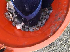 -北海金海湾红树林生态旅游区