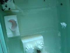 -绿姿鲜奶烘焙(新城花园店)