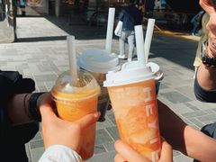 多肉芒芒甘露MAX-喜茶(北京三里屯太古里店)