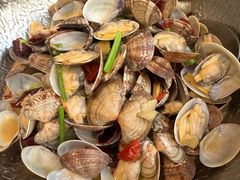 -开海·红岛海鲜虾水饺(石老人店)
