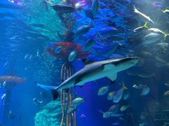 -沈阳海洋探索中心