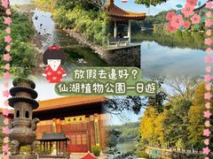 -深圳市中科院仙湖植物园