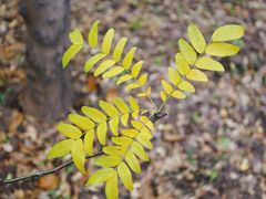 -长春公园(普阳街道)