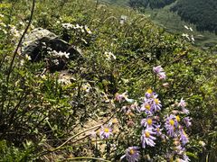 -灵山
