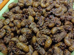 -财主·海鲜锅贴