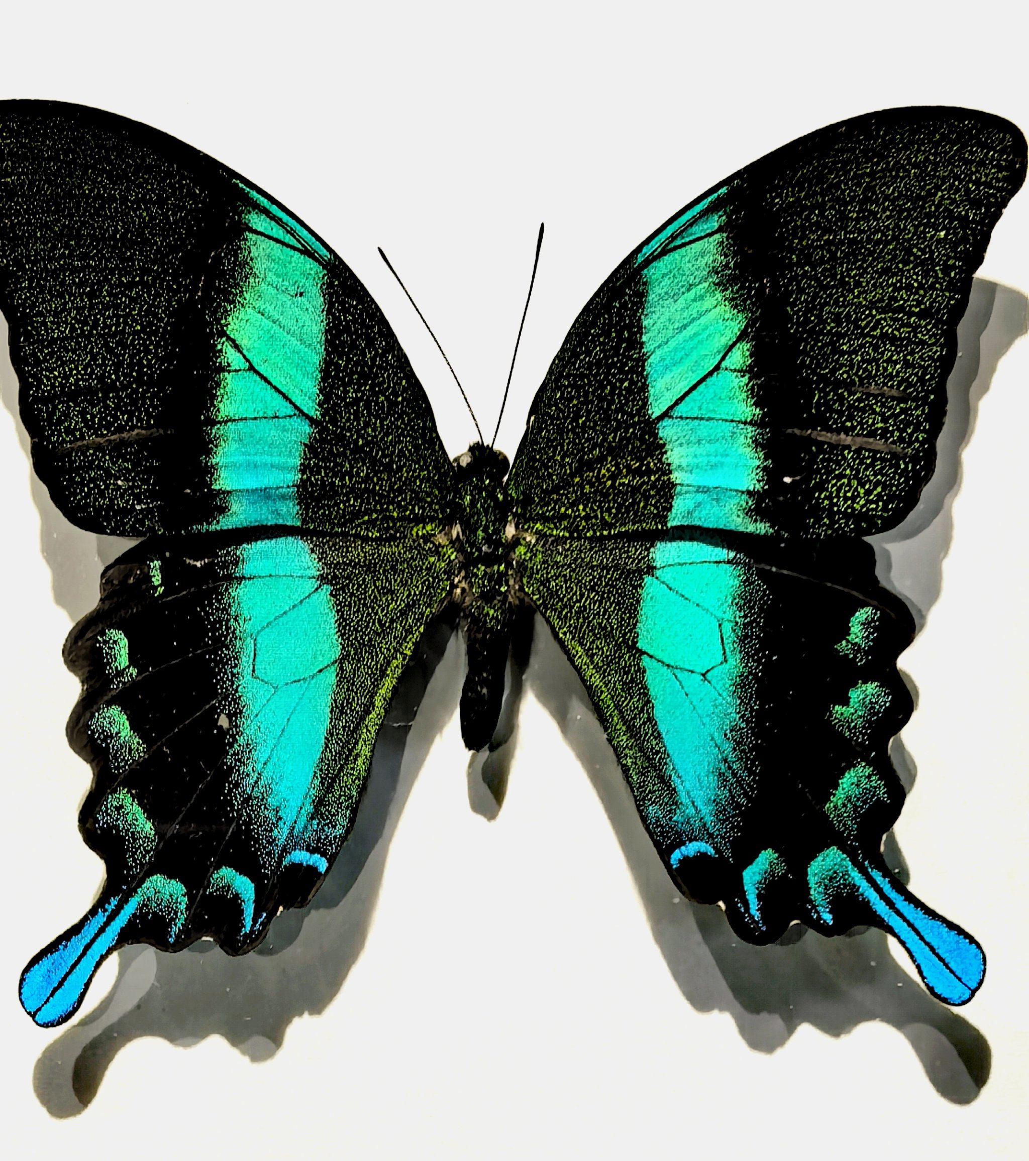 镇江私藏的民国文艺老街,超出