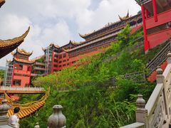 -东莞市大岭山森林公园