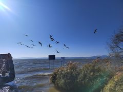 -捞渔河湿地公园