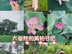-云溪植物园