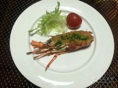 -梧桐餐厅(泉城路店)