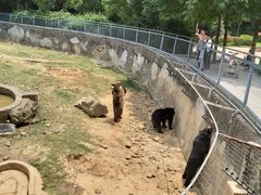 -无锡动物园·太湖欢乐园