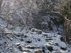 -北京鹫峰国家森林公园