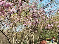 -南京市江宁方山