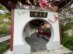 -南汇桃花村