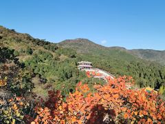 -香山公园