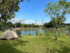 -王借岗森林公园