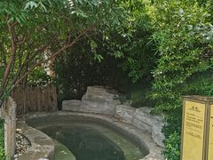 -大连金石滩绿发温泉假日酒店