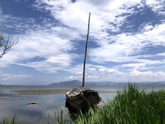-洱海月湿地公园