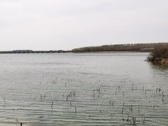 -丁香湖公园