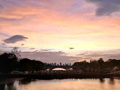 -西山漾湿地公园