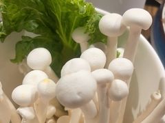 -百草滩羊清水涮羊肉(长城路店)