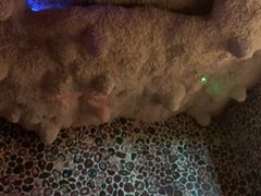 -海洋之星休闲汗蒸浴场