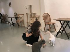-猫友咖啡店(玉林西路店)