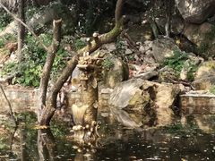 -天龙池风景区