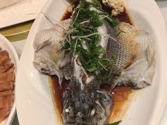 清蒸鲈鱼-周锦记广式餐厅(格林生活坊2期店)