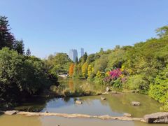 -云溪植物园