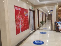 -碧莲盛·不剃发植发