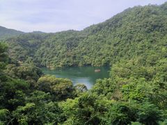 -鼎湖山风景区