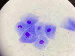 -美联众合24小时·皮肤科·外科·全科诊疗中心(华苑分院)