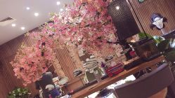 -红人馆造型世爵国际