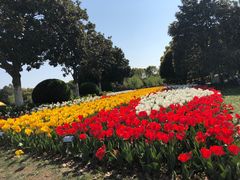 -上海鲜花港