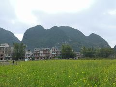 -靖西鹅泉风景区