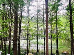 -福道