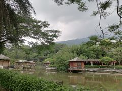 -罗浮山嘉宝田森林温泉度假酒店