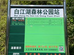 -广州白江湖森林公园