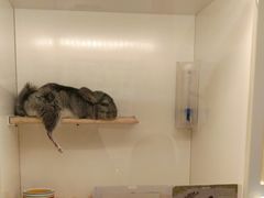 -龙猫仔乐园(惠福东路店)