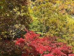 -关门山森林公园