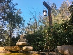 -天目湖涵田半山温泉