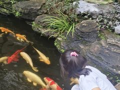 -聚福宝合苑食府(南头镇店)